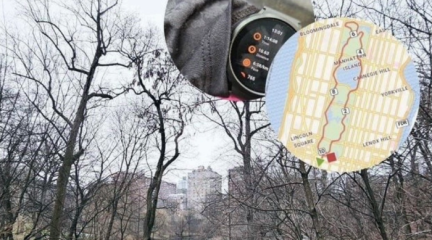 Image of Heather's tracked steps using her watch next to a photo of Central Park, New York.