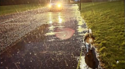 A beagle walking along a path on a rainy evening, with a van driving past on the road.
