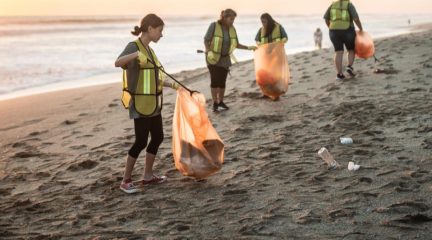 People picking up litter on the beach